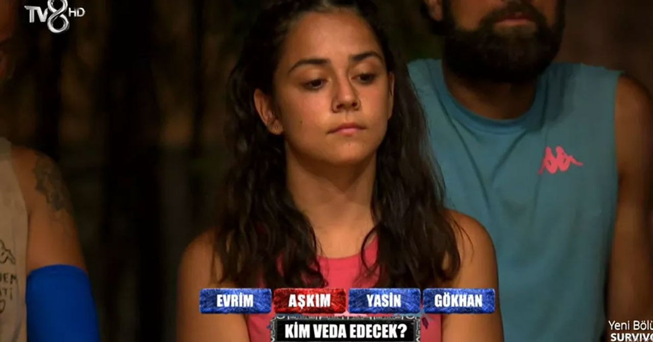 Survivor Survivor
