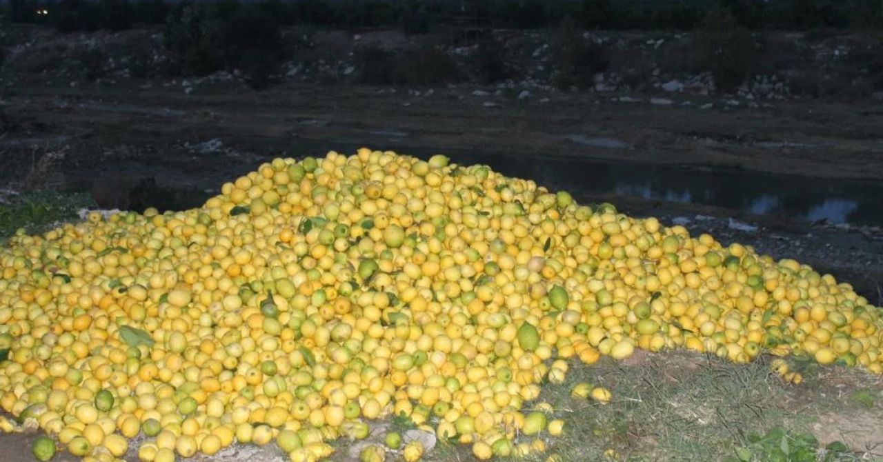 Limon Limon