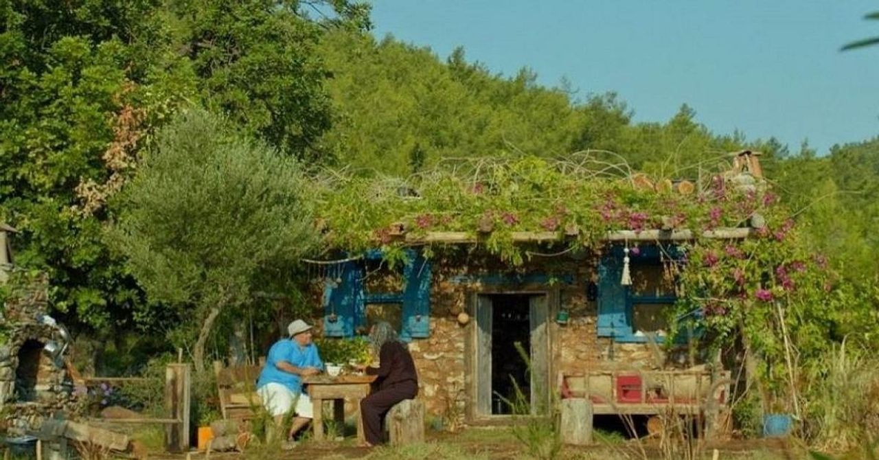 Mandıra Filozofu film Mandıra Filozofu film