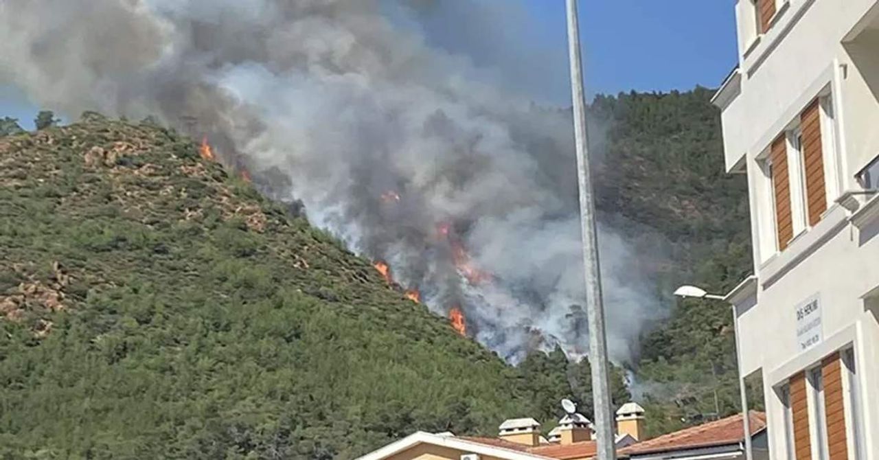 Marmaris Orman Yangını Marmaris Orman Yangını