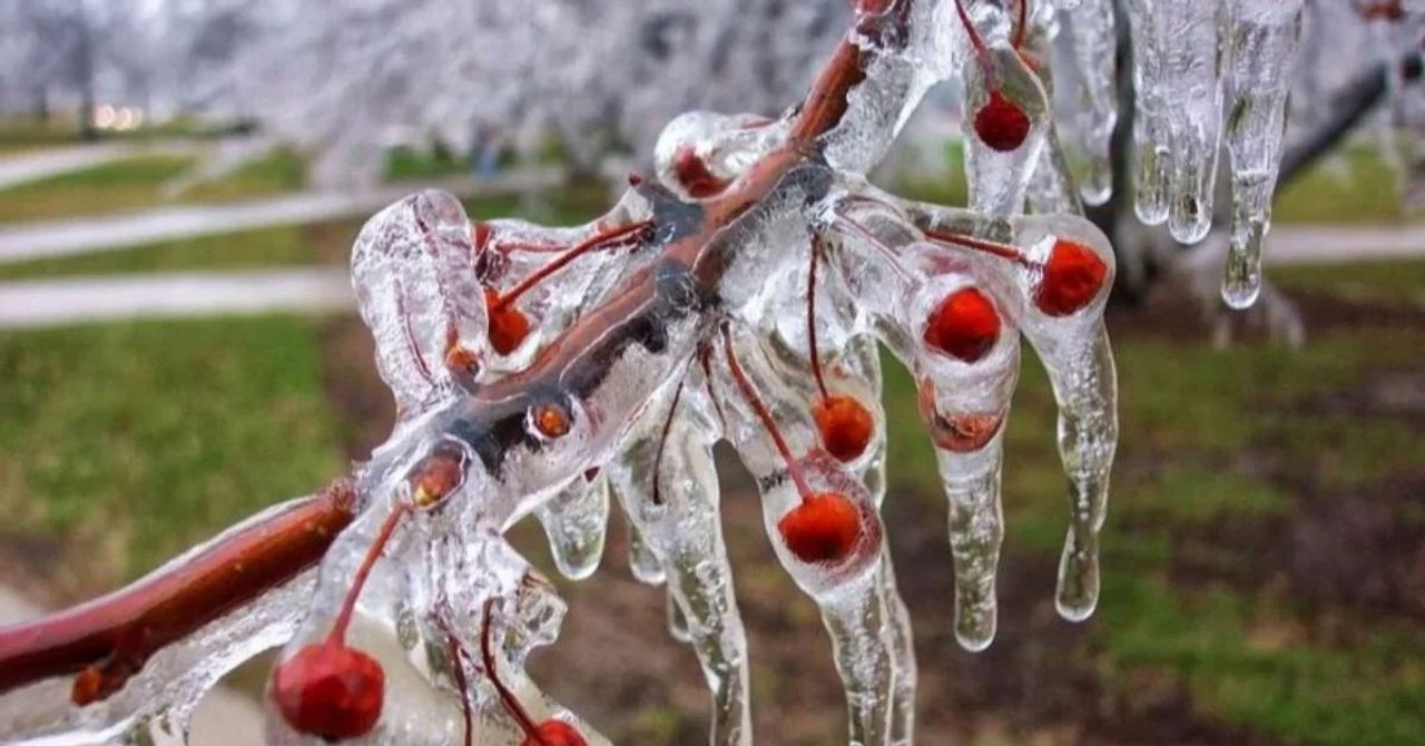 Meteorolojiden zirai don uyarısı geldi. Meteorolojiden zirai don uyarısı geldi.