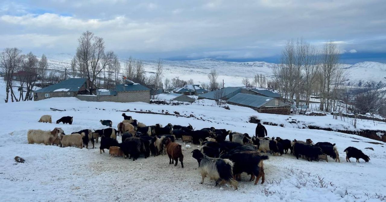 Muş Yukarıyongalı köyü Muş Yukarıyongalı köyü