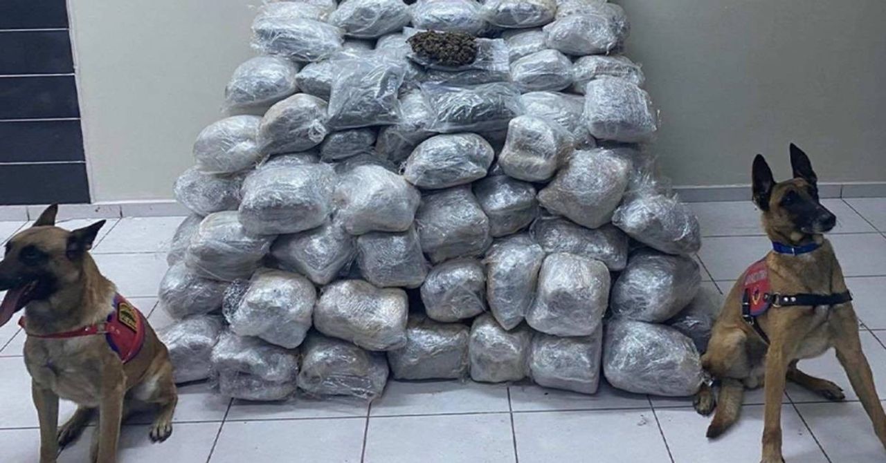 Narkogüç operasyon Narkogüç operasyon