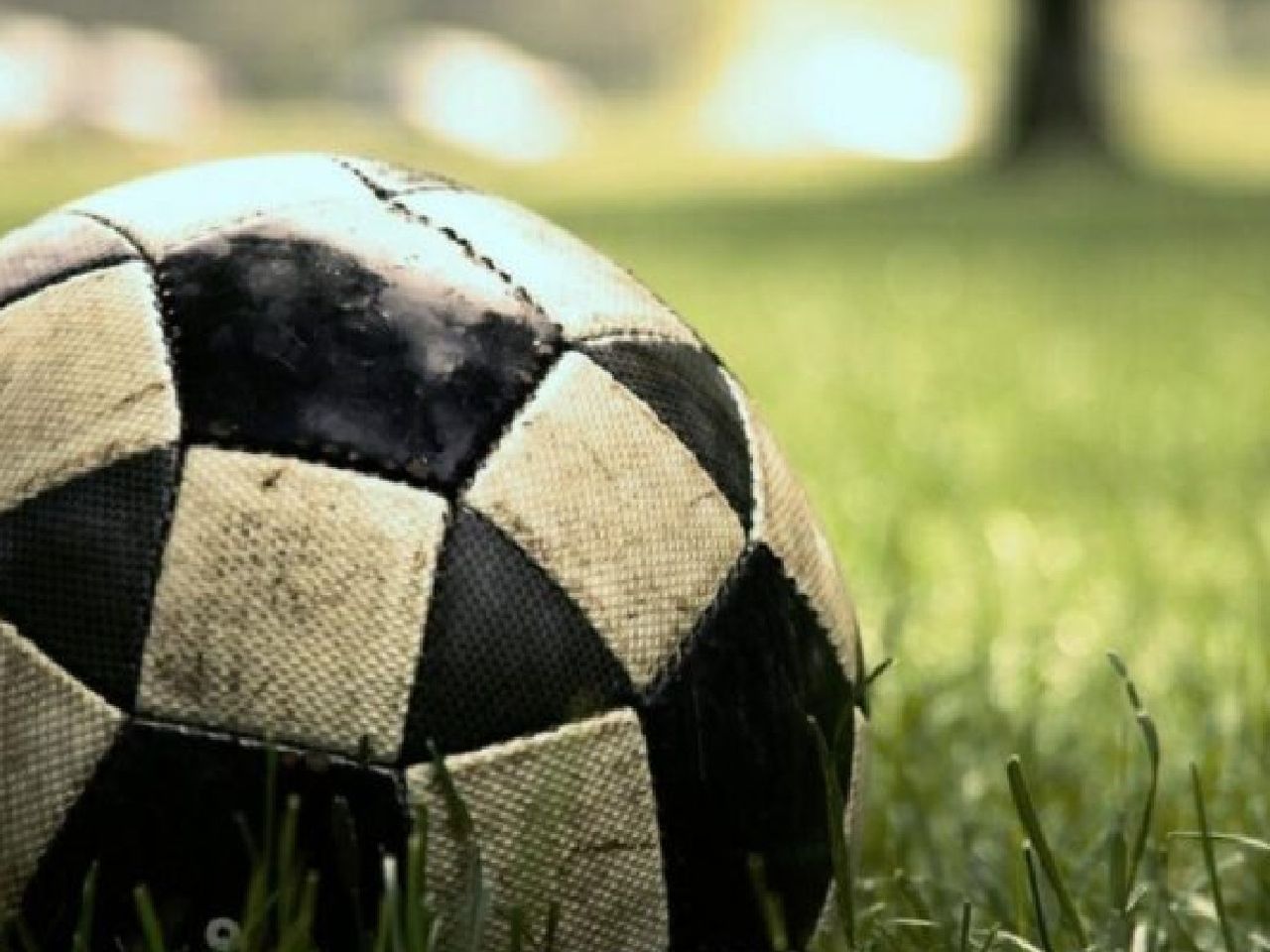 Netsportv güncel giriş bilgisi Netsportv güncel giriş bilgisi