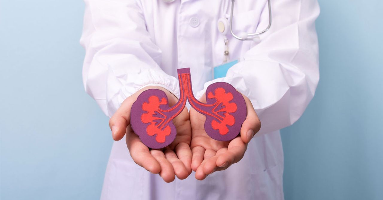Organ nakli bağışı Organ nakli bağışı