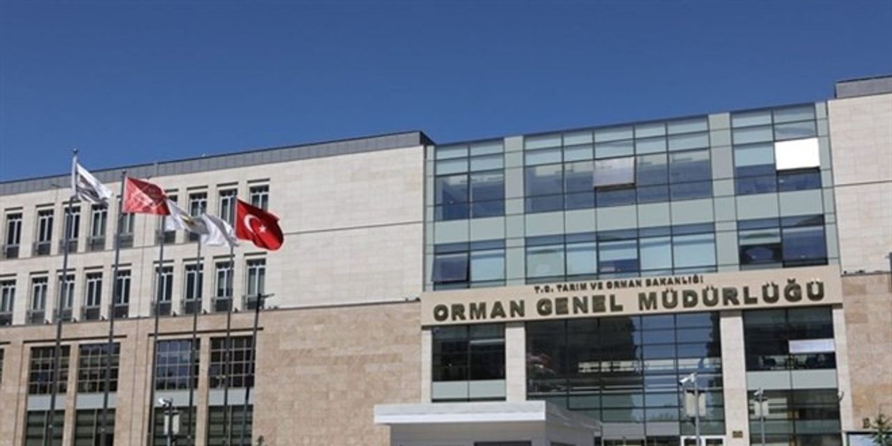 Orman Genel Müdürlüğü’nden müjde! 170 personel alımı için 3 ayrı ilan yayımlandı Orman Genel Müdürlüğü’nden müjde! 170 personel alımı için 3 ayrı ilan yayımlandı