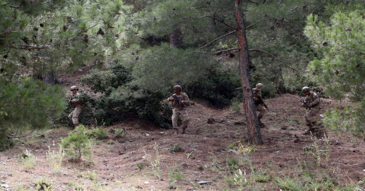 Orman Yangınları Denetimi Orman Yangınları Denetimi