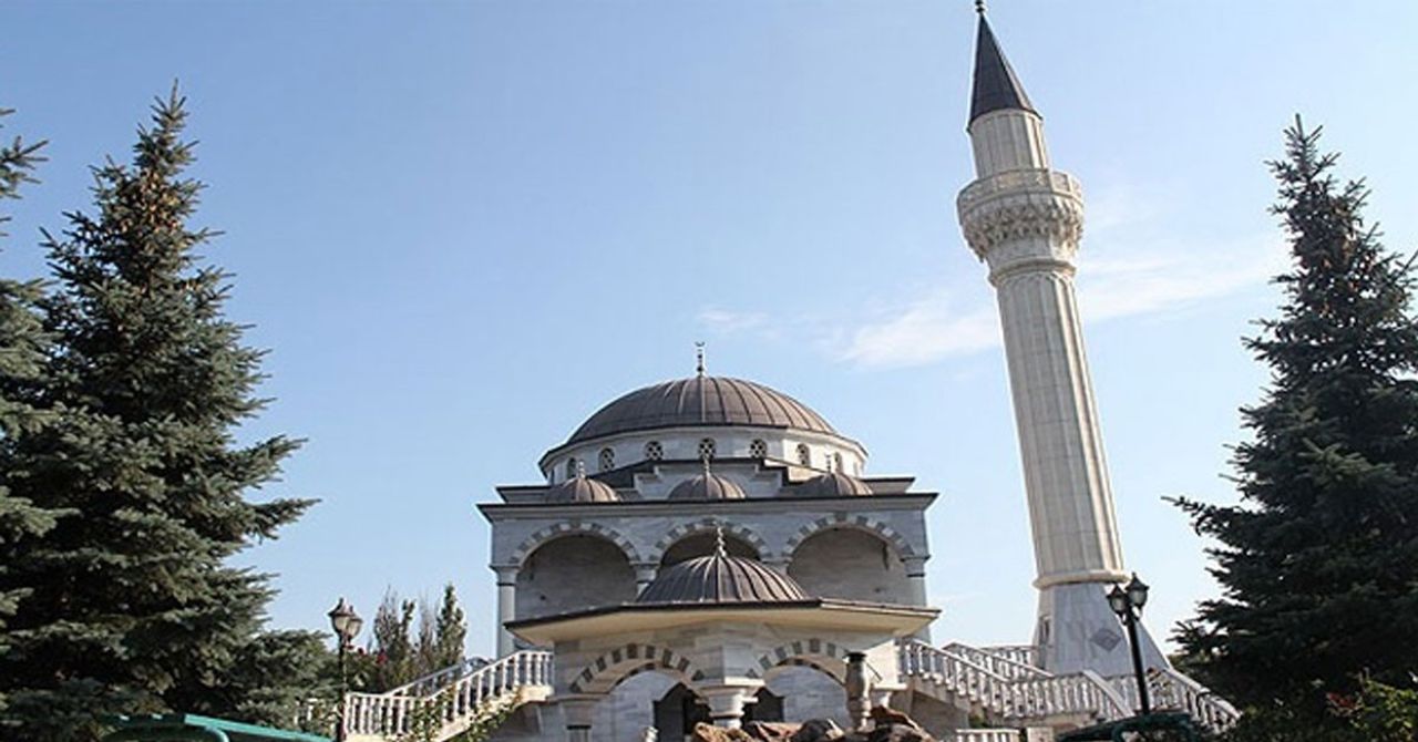 Cami Cami