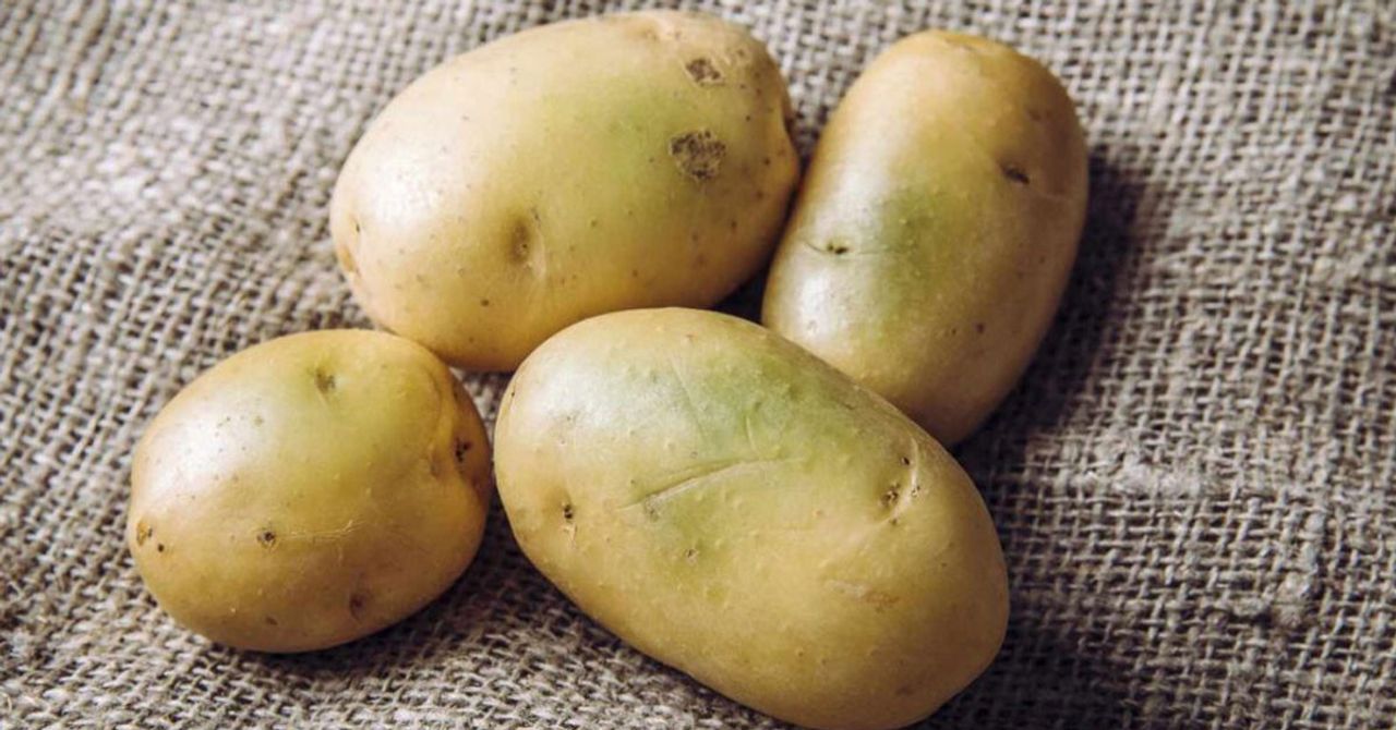 patates patates