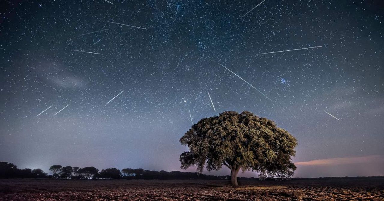 Perseid Meteor Yağmuru Perseid Meteor Yağmuru