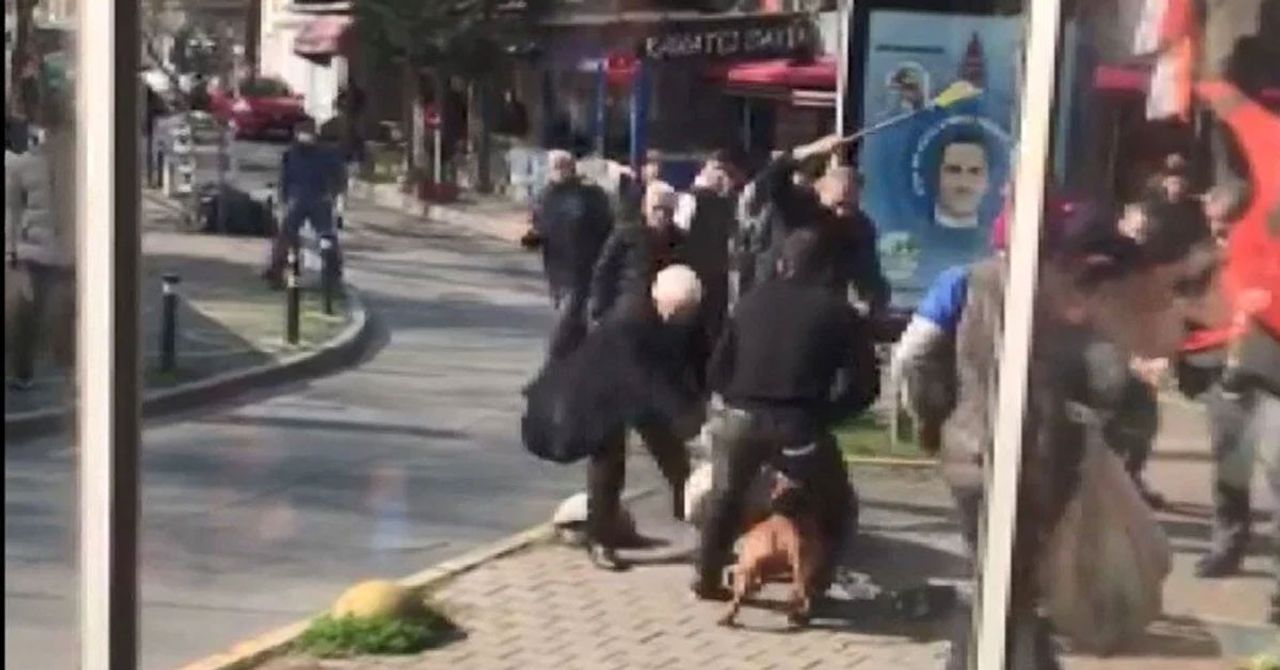 Pitbull cinsi köpeğini yoldan geçen vatandaşa saldırtan şahıs: İstesem silah alır sıkardım! Pitbull cinsi köpeğini yoldan geçen vatandaşa saldırtan şahıs: İstesem silah alır sıkardım!