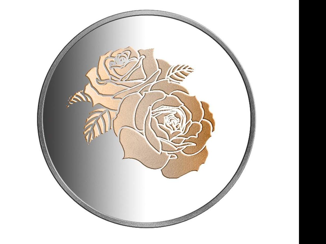 ROSE coin projesi ve yol haritası ROSE coin projesi ve yol haritası