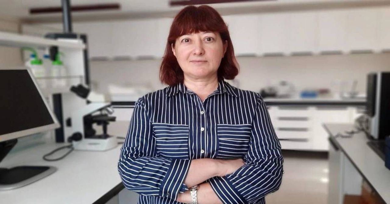 Saadet Karakulak