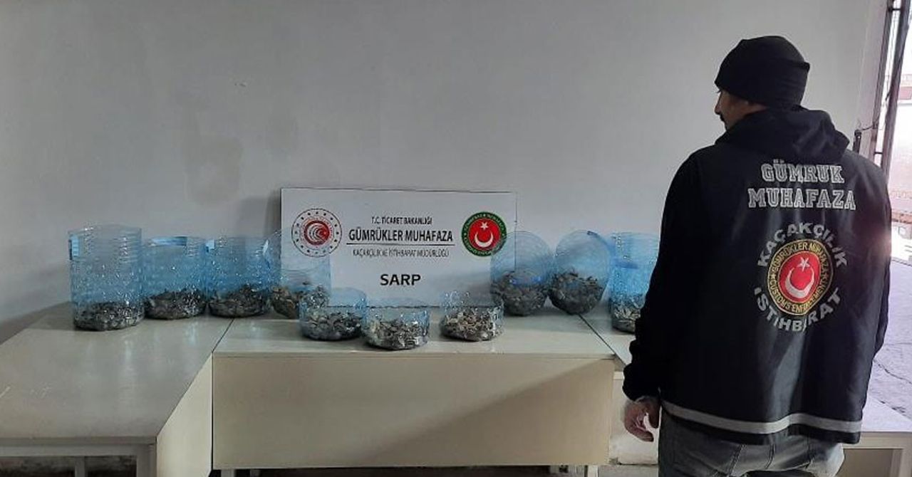 Sarp Sınır Kapısı Sarp Sınır Kapısı