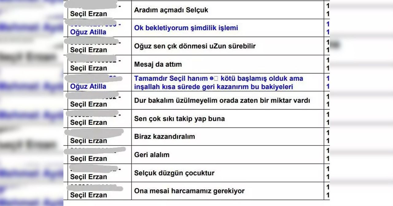Seçil Erzan Seçil Erzan