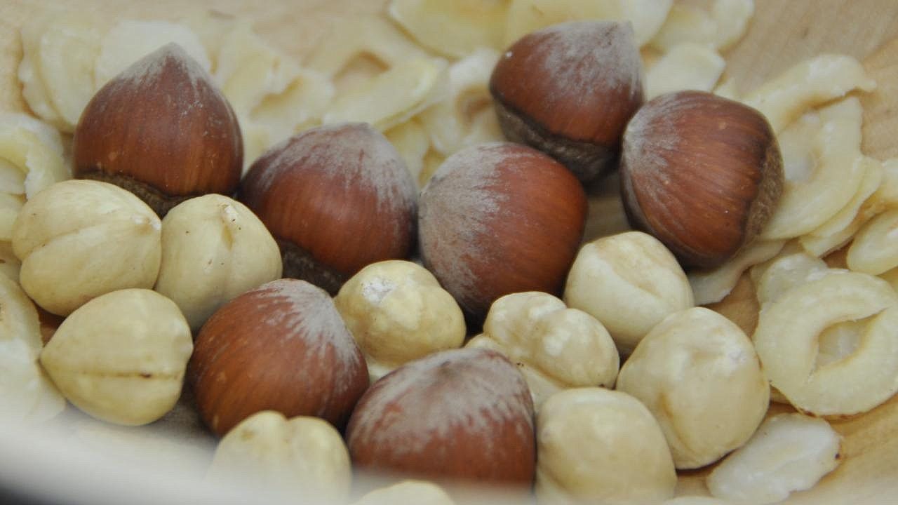 Serbest piyasa 4 Mart 2024 fındık fiyatları Serbest piyasa 4 Mart 2024 fındık fiyatları