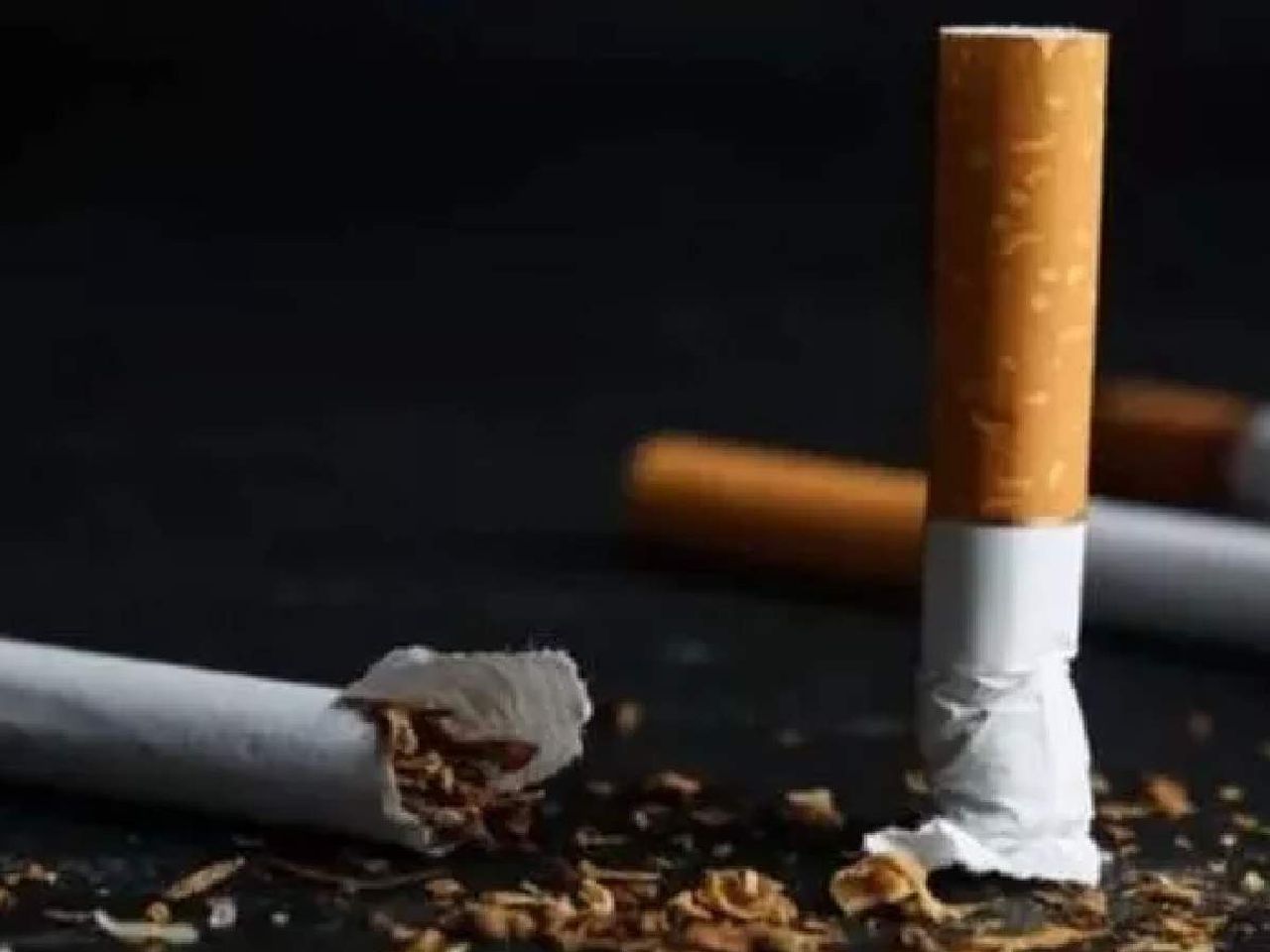 Sigaraya 1 Nisan Sigaraya 1 Nisan