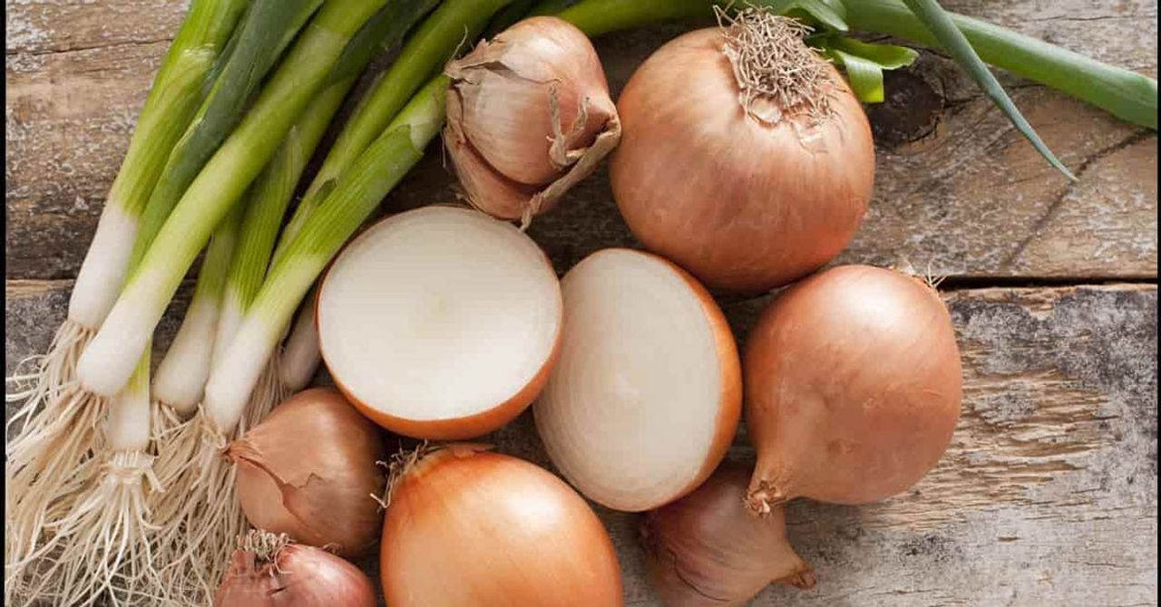 Soğanı ağzı açık buzdolabına koymayın Soğanı ağzı açık buzdolabına koymayın