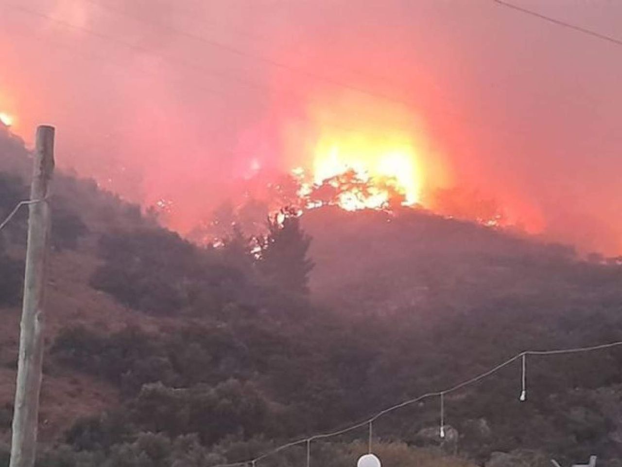 söke orman yangını söke orman yangını