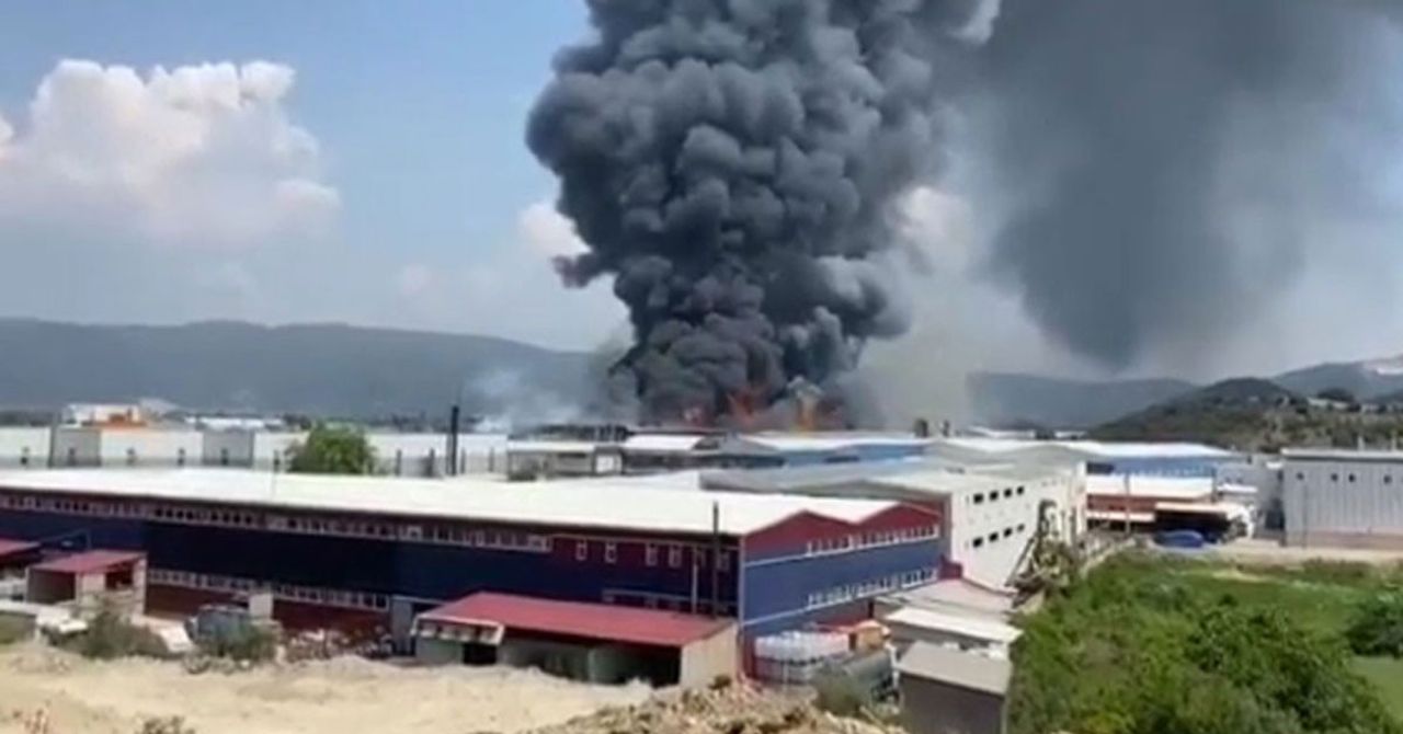 Son dakika: Bursa Son dakika: Bursa