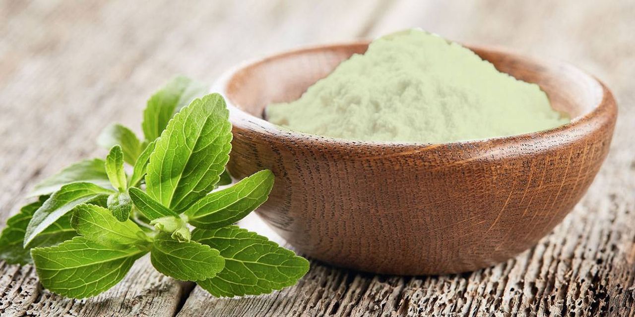 Stevia Stevia