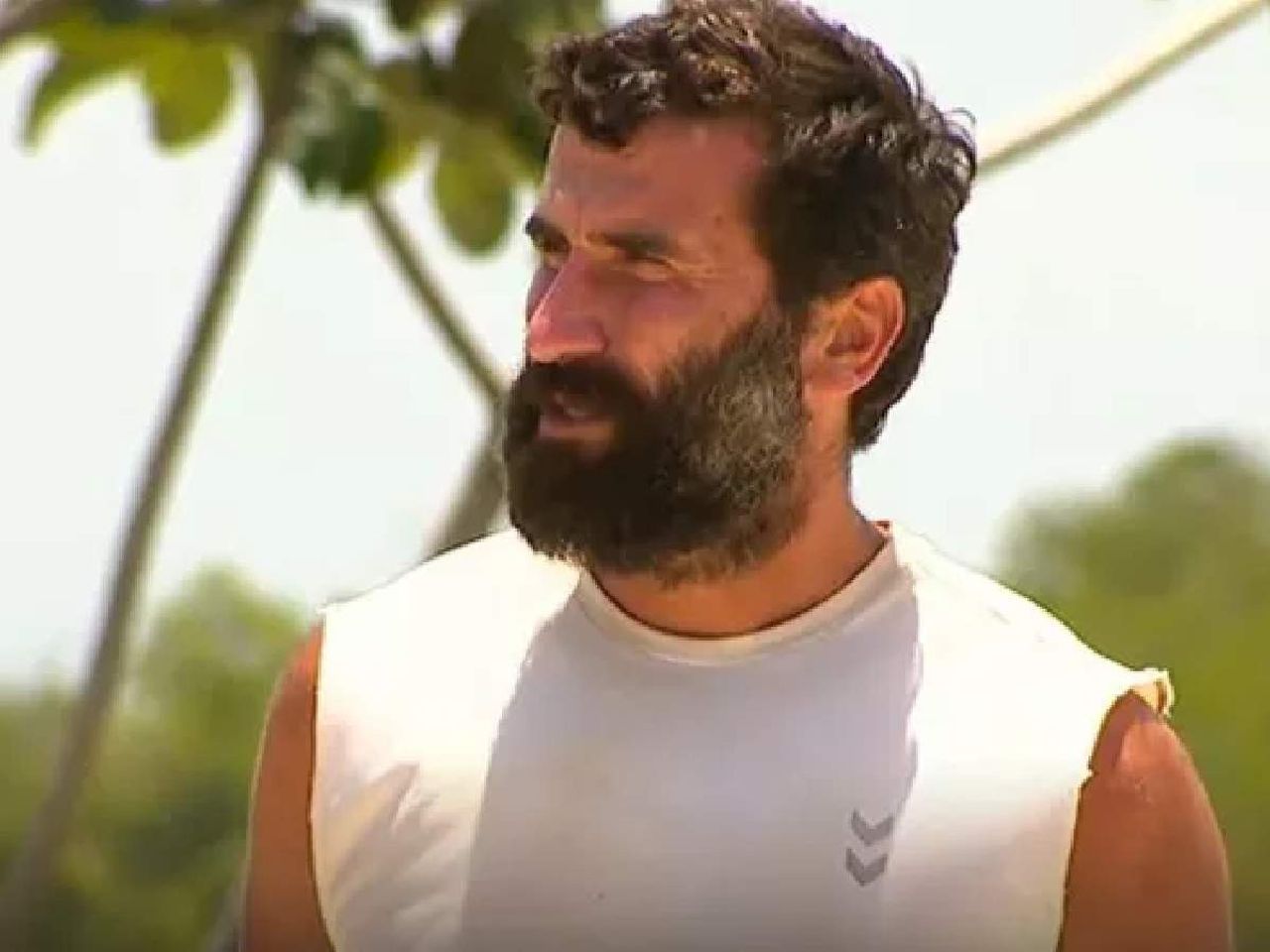 Survivor All Star Survivor All Star