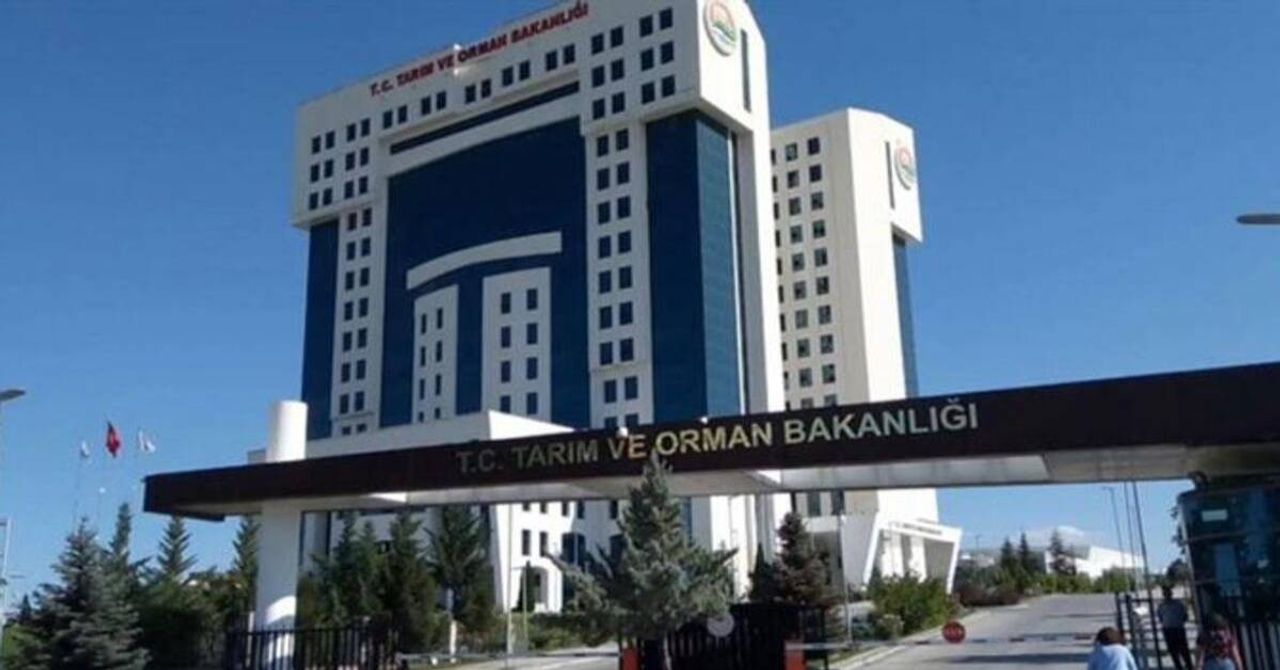 Tarım Bakanlığı Personel Alımı Son Dakika Tarım Bakanlığı Personel Alımı Son Dakika