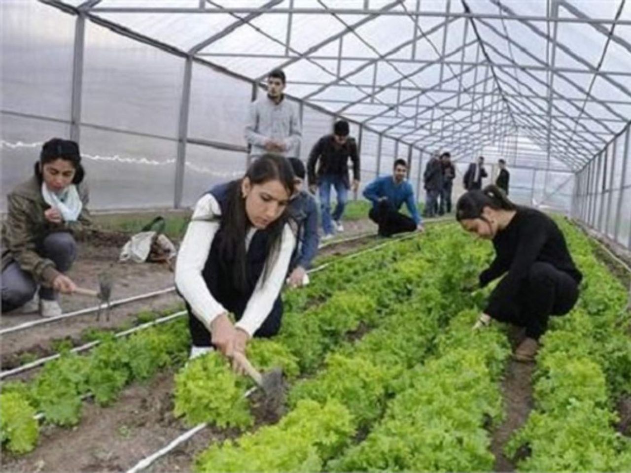 tarım okulları tarım okulları