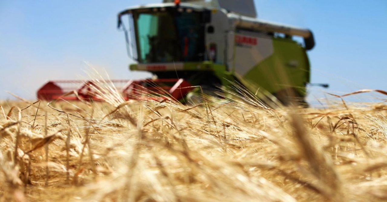 Tarım ve Orman Bakanlığı açıkladı: 2024 hububat alım fiyatları belli oldu Tarım ve Orman Bakanlığı açıkladı: 2024 hububat alım fiyatları belli oldu
