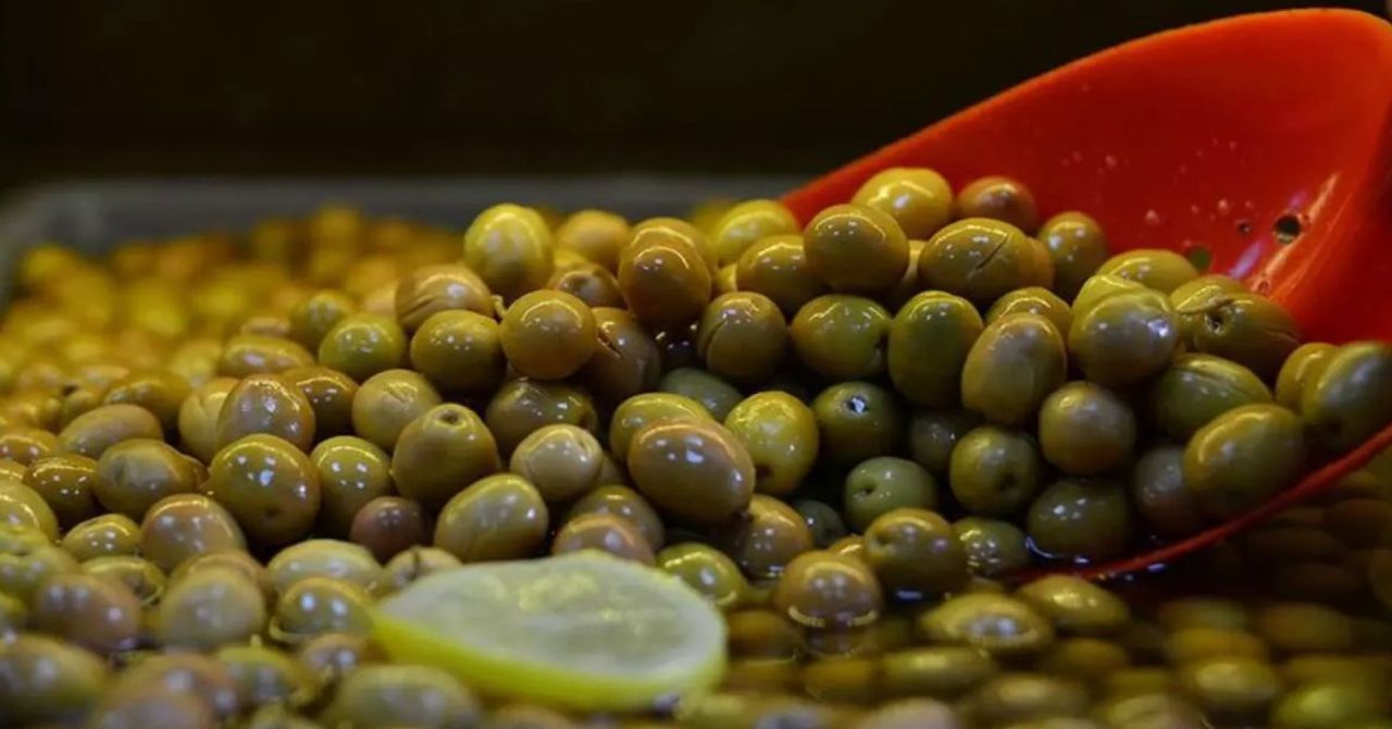 Türkiye zeytin ihracatında rekora koşuyor: 200 milyon dolara ulaşmak üzere Türkiye zeytin ihracatında rekora koşuyor: 200 milyon dolara ulaşmak üzere