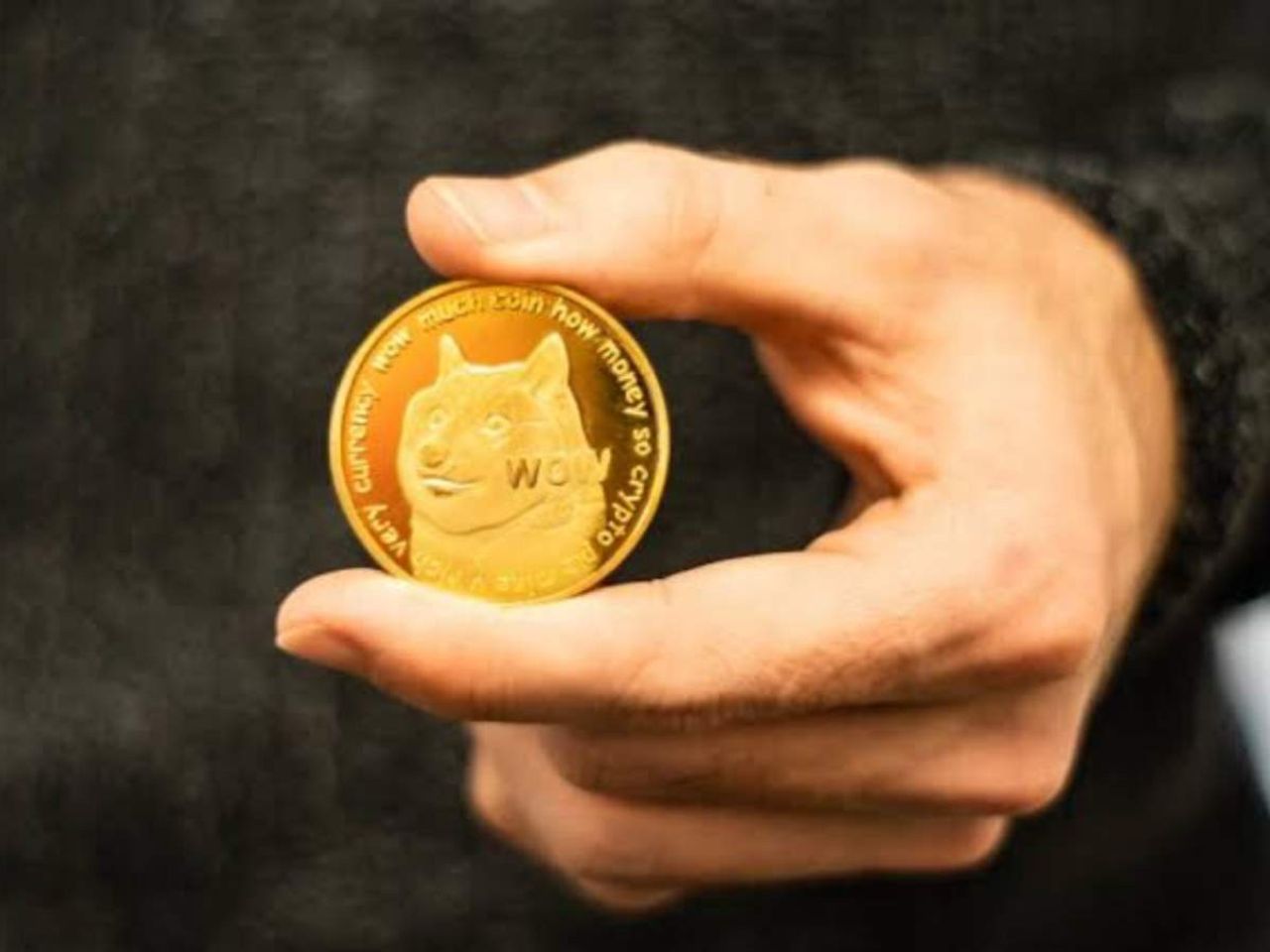 unicly coin unicly coin