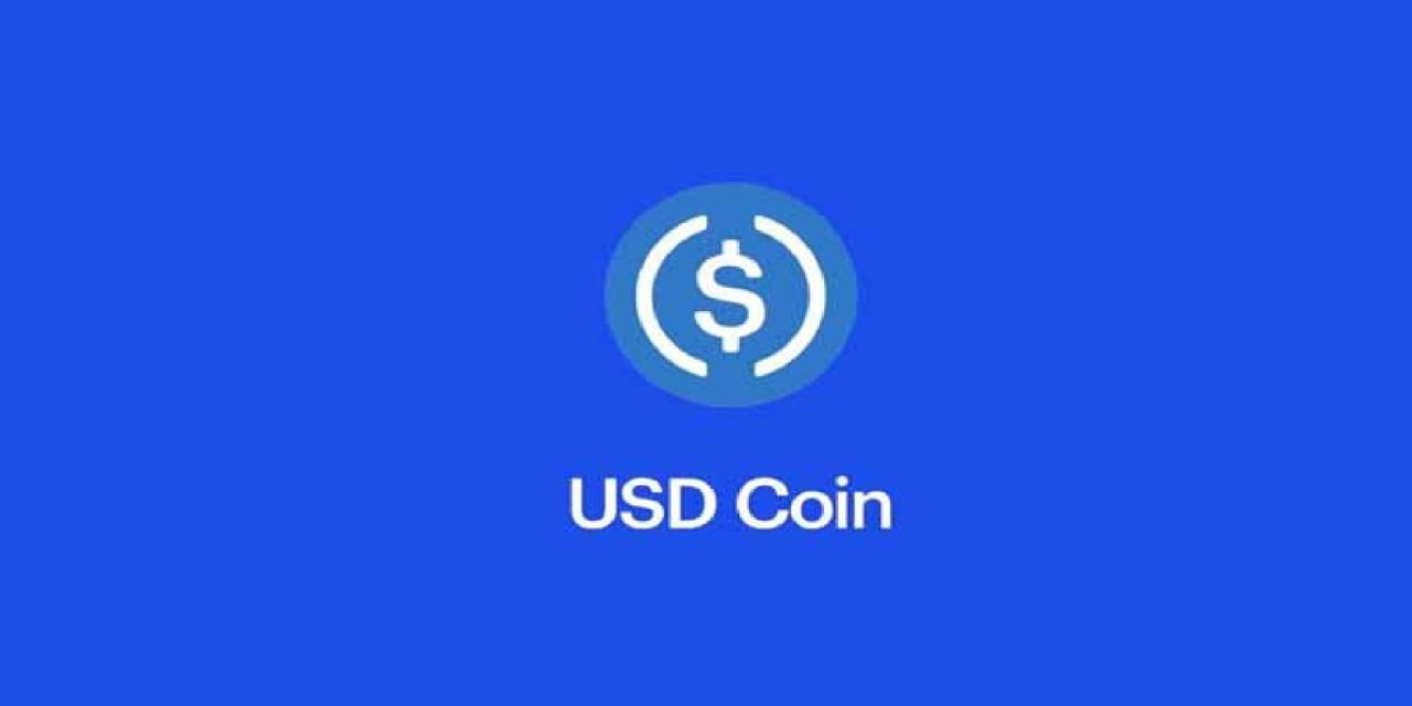 USD Coin nedir? USD Coin nedir?