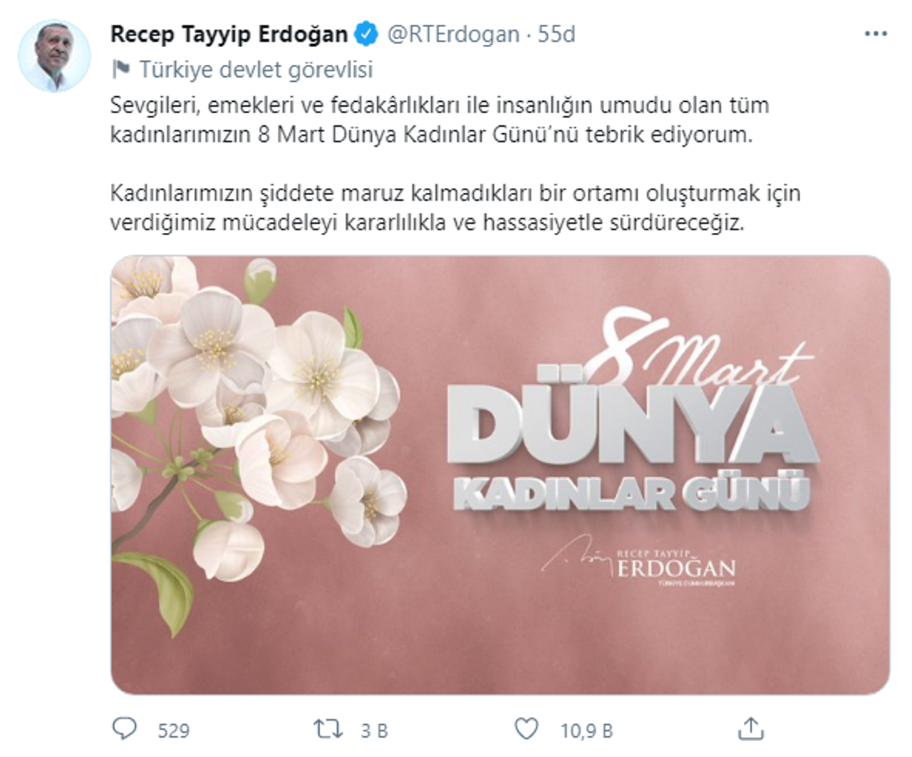 Cumhurbaşkanı Erdoğan Cumhurbaşkanı Erdoğan