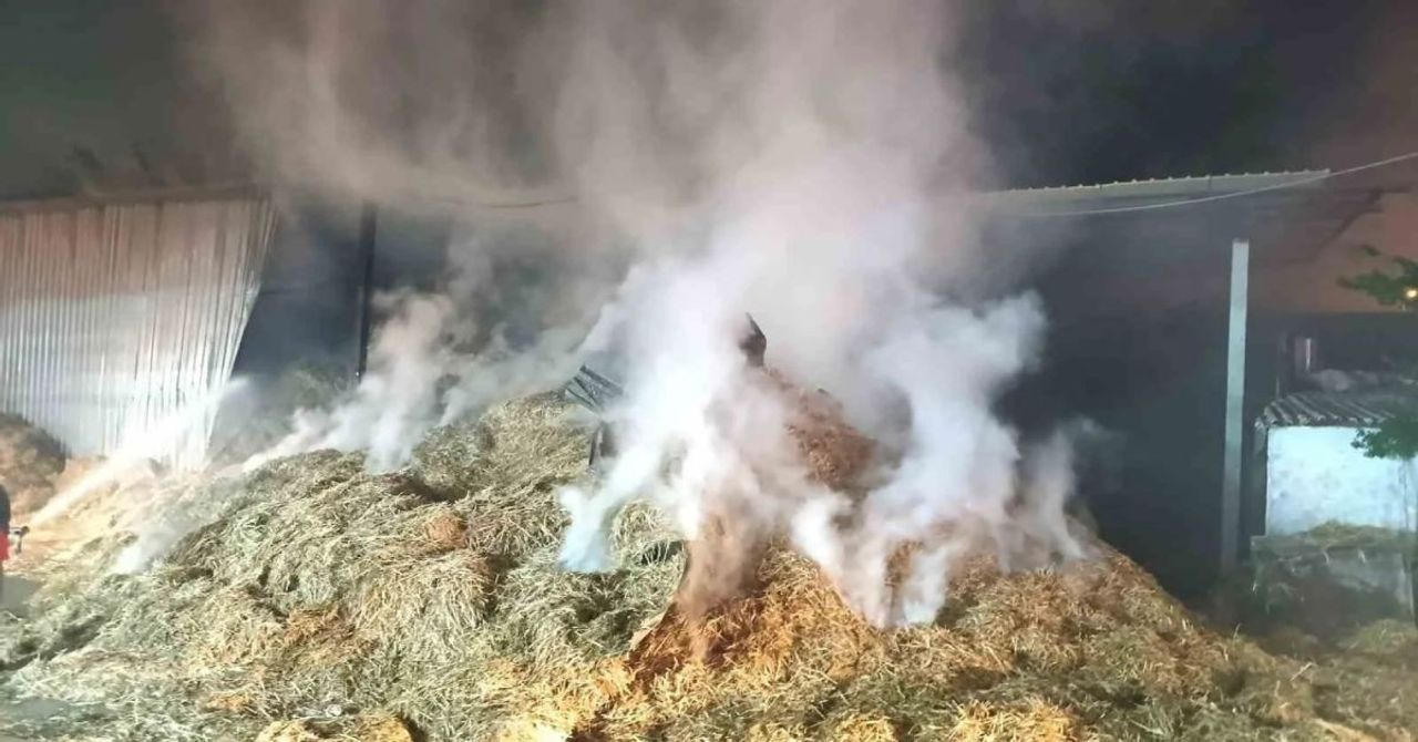 Yalova’da korkutan yangın: Hangarda maddi hasar meydana geldi Yalova’da korkutan yangın: Hangarda maddi hasar meydana geldi