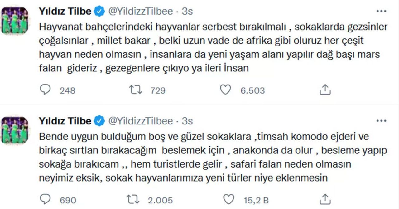 Yıldız Tilbe sokak hayvanları paylaşımı Yıldız Tilbe sokak hayvanları paylaşımı