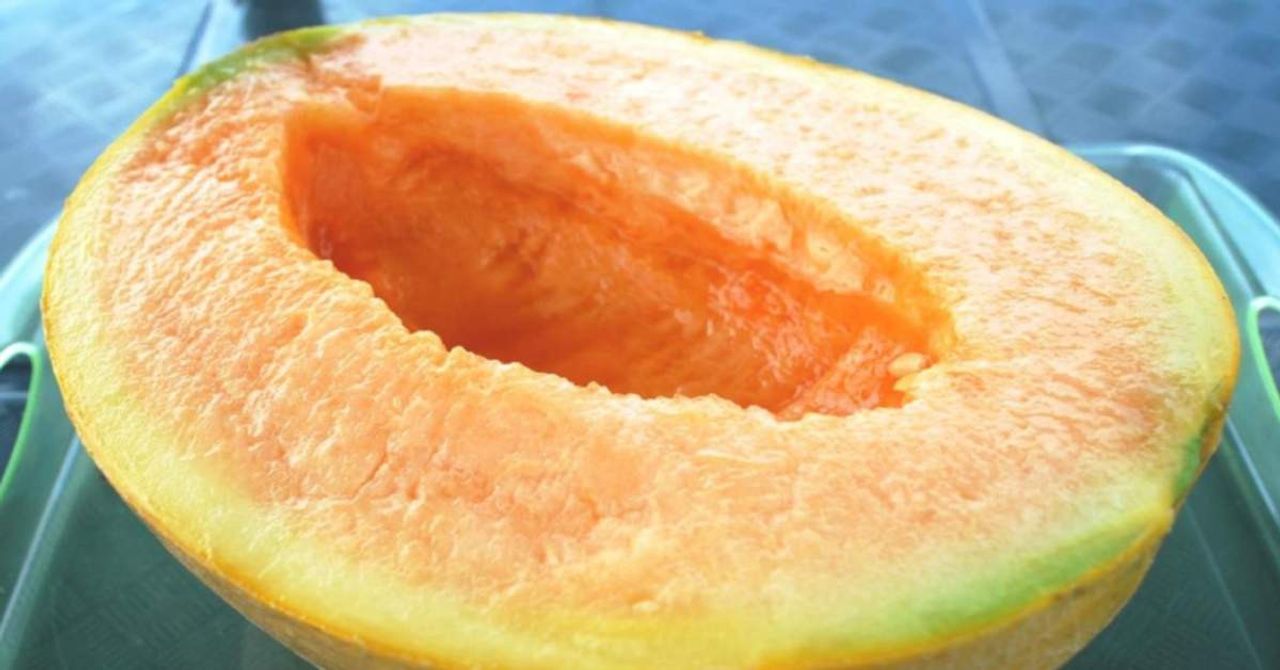 Yubari Kavunları Yubari Kavunları