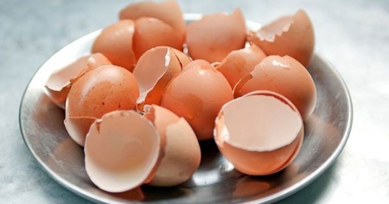 Yumurta kabuğunun bilinmeyen faydaları Yumurta kabuğunun bilinmeyen faydaları