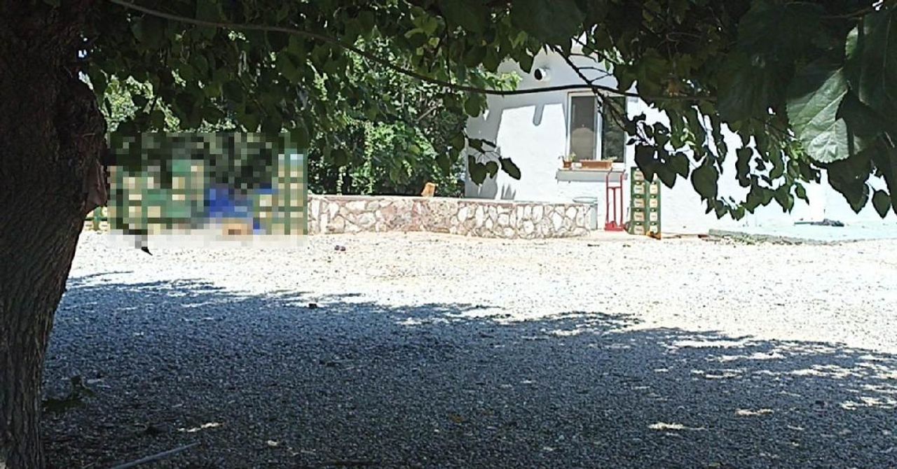 Zehra Bayır cinayet Zehra Bayır cinayet