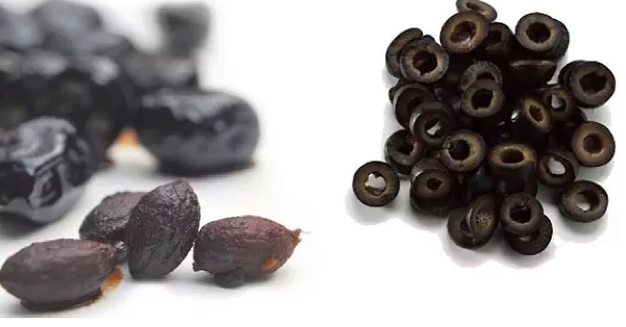 Zeytin çekirdeğinin faydaları Zeytin çekirdeğinin faydaları