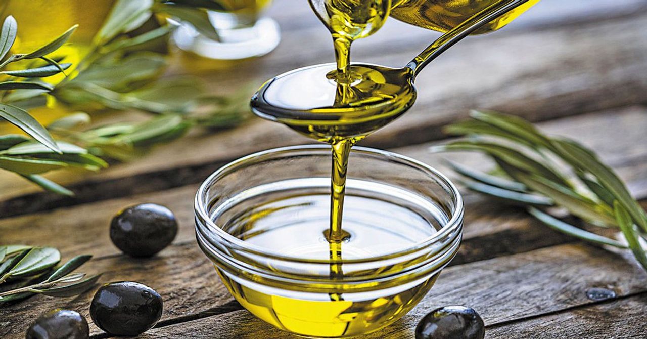 zeytinyağı oyun zeytinyağı oyun