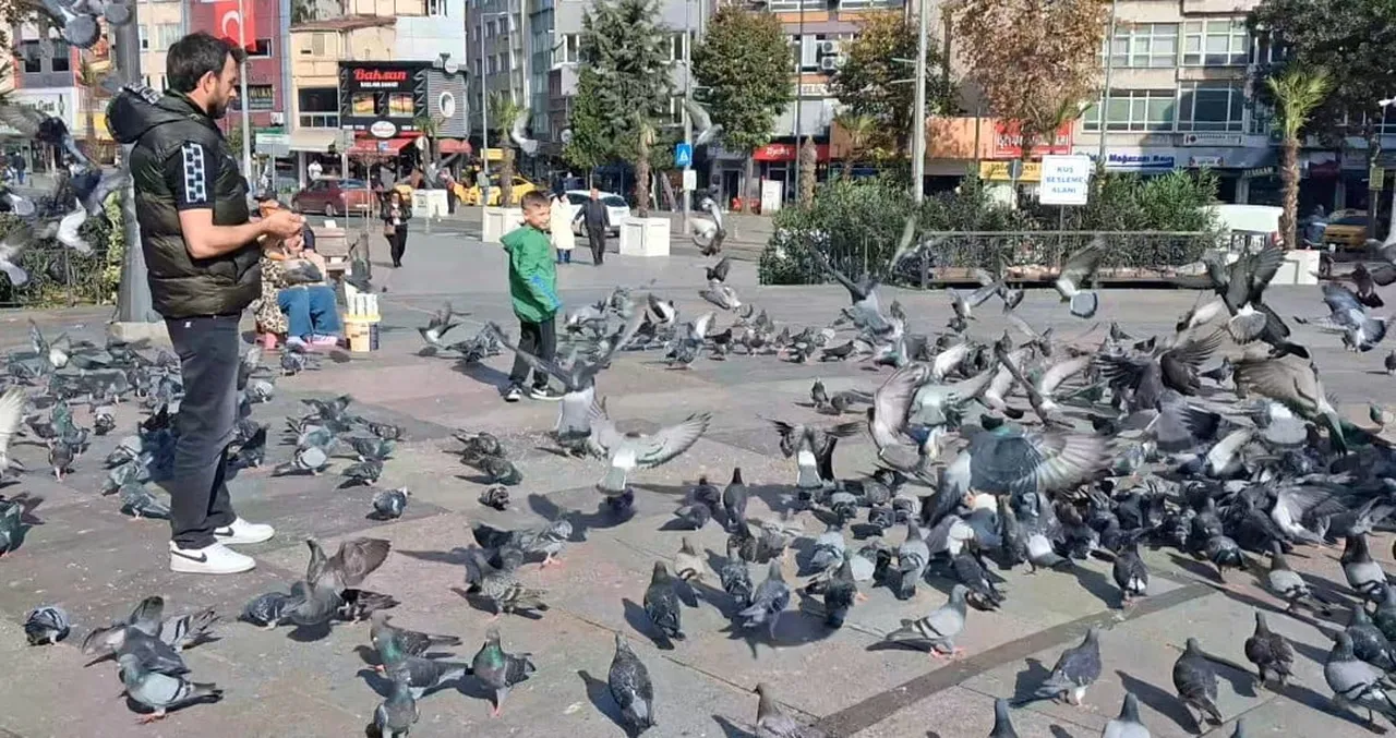 TEKİRDAĞ’IN ÇORLU İLÇESİNDE SONBAHARIN SON GÜNLERİNDE TERMOMETRELER 16 DERECEYİ GÖSTERİRKEN...