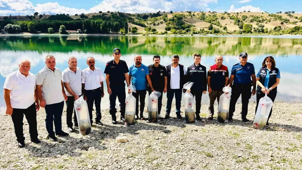 AMASYA’NIN TAŞOVA İLÇESİNDEKİ ULUKÖY BARAJINA 75 BİN SAZAN YAVRUSU BIRAKILDI.