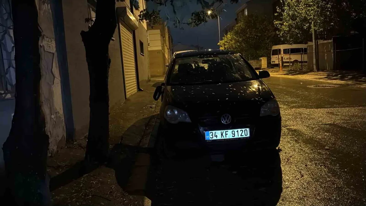 KIRIK AYNALARI ARAÇ