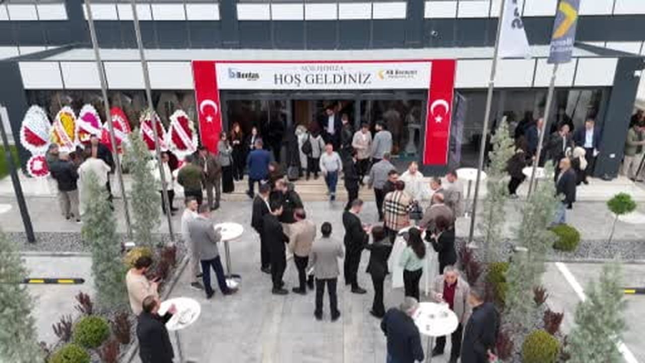 Kedi kumu fabrikası Türkiye'ye 50 milyon dolar döviz kazandırıyor
