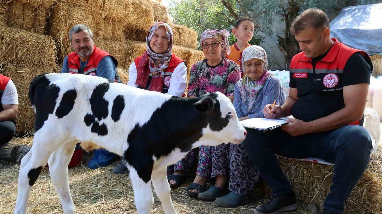 TARIM VE ORMAN BAKANLIĞI'NIN BUZAĞI KAYIPLARININ AZALTILMASINA YÖNELİK PLANLARI DOĞRULTUSUNDA...