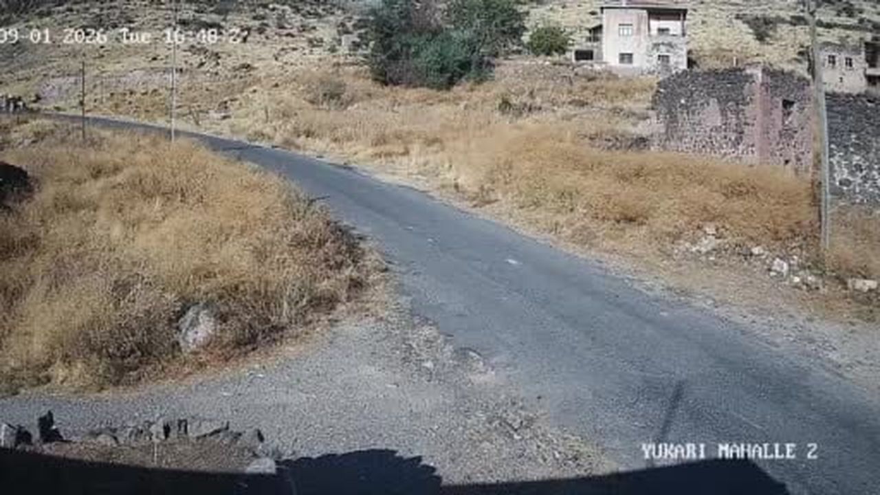 Traktör kazasında ağır yaralanan 75 yaşındaki kadın hayatını kaybetti: Kaza anı kamerada