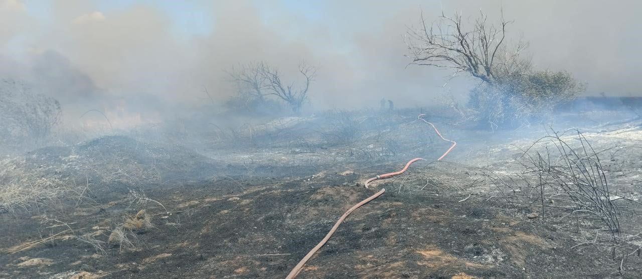 BANDIRMA’DA ARAZİ YANGINI KISA SÜREDE SÖNDÜRÜLDÜ