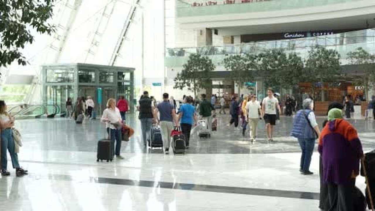 Engelli, gazi ve şehit yakınları kimlikle bilet alıp seyahat edebilecek