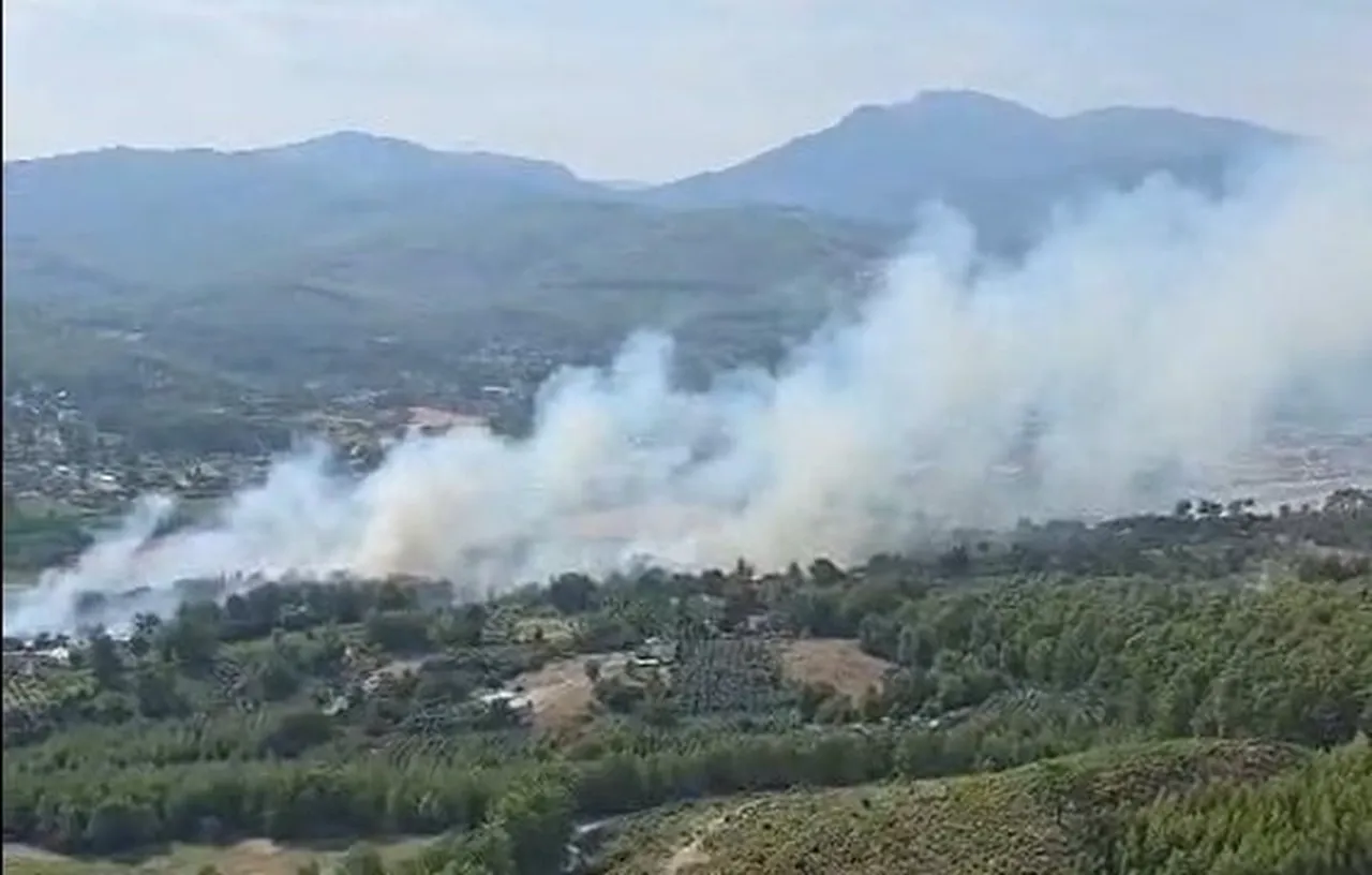 MUĞLA'NIN SEYDİKEMER İLÇESİNDE ÇIKAN ORMAN YANGININDA EKİPLER ALEVLERİ KONTROL ALTINA ALABİLMEK...