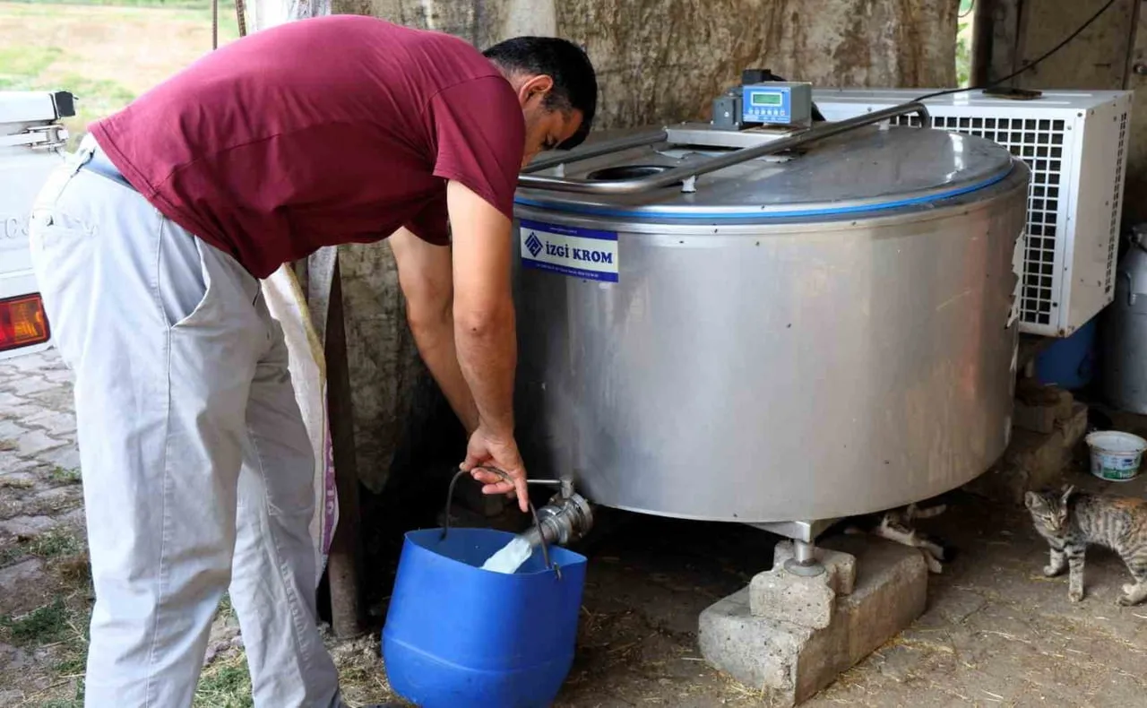 KOCAELİ'DE HAYVANCILIĞI DESTEKLEME PROJELERİ KAPSAMINDA ÇAVUŞLU MAHALLESİ'NDEKİ İŞLETMELERE SÜT...